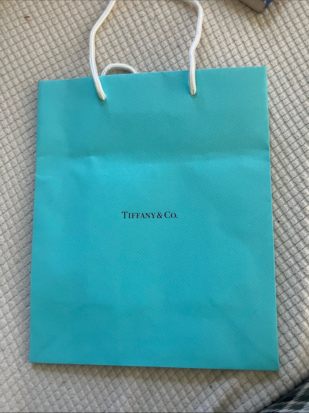 Tiffany & Co. Robin's-egg Blue Paper Shopping Bag